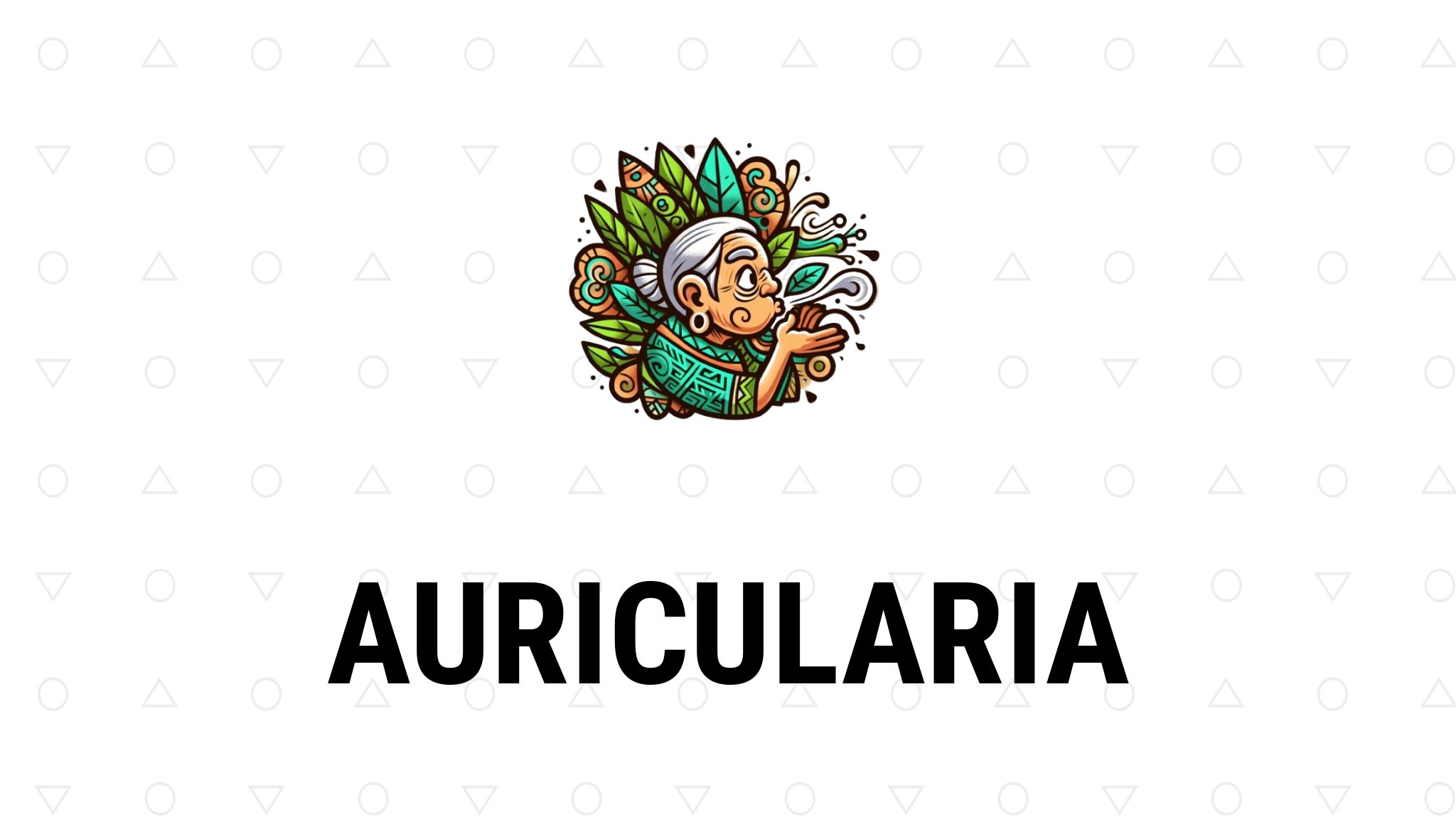 Auricularia – Propiedades y remedios naturales