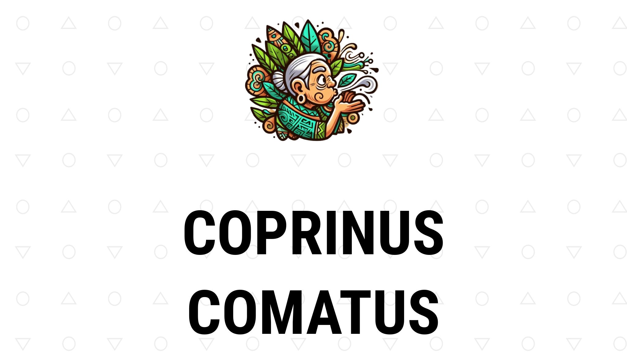 Coprinus comatus – Propiedades y remedios naturales